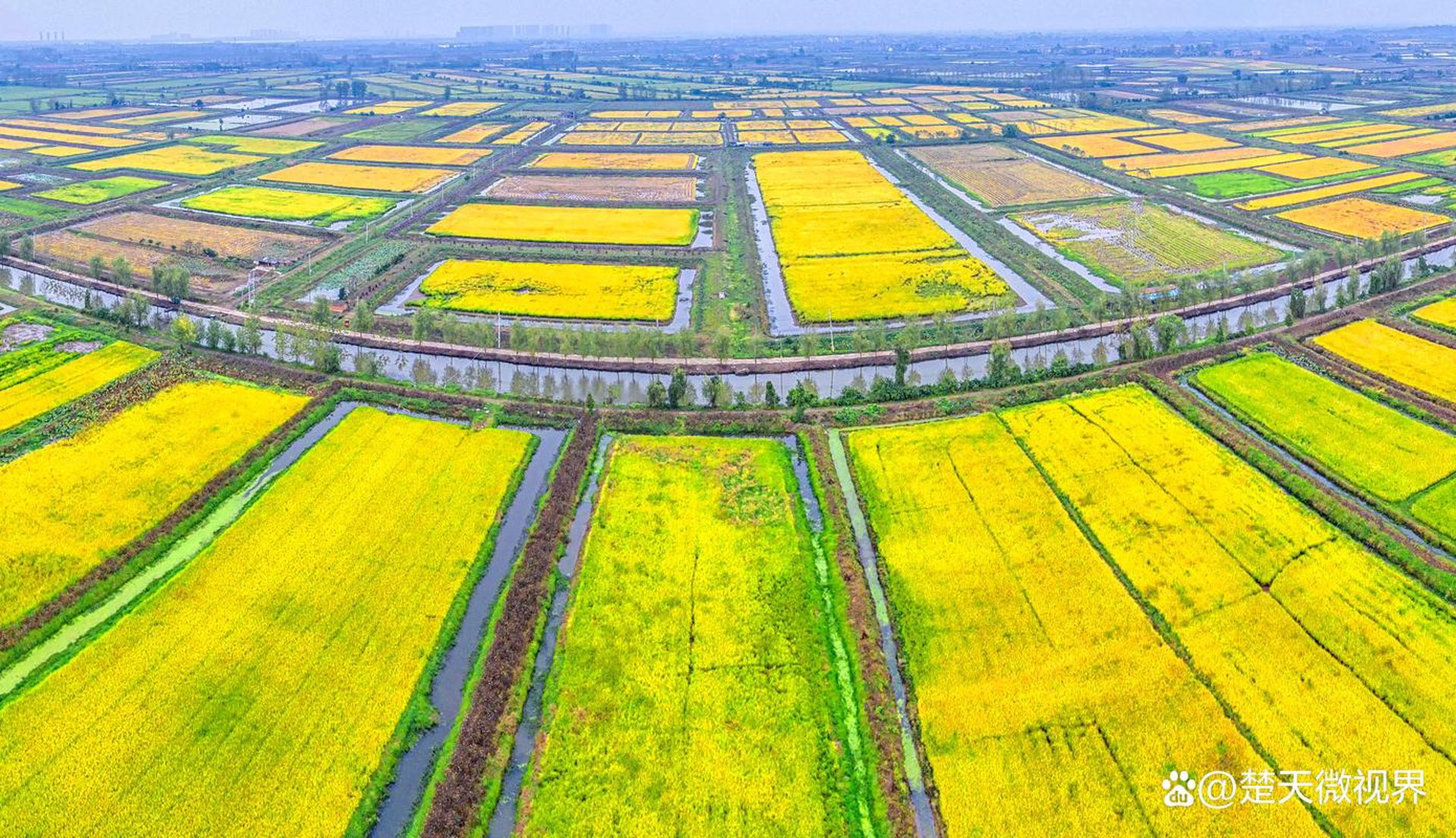 红江橙基地